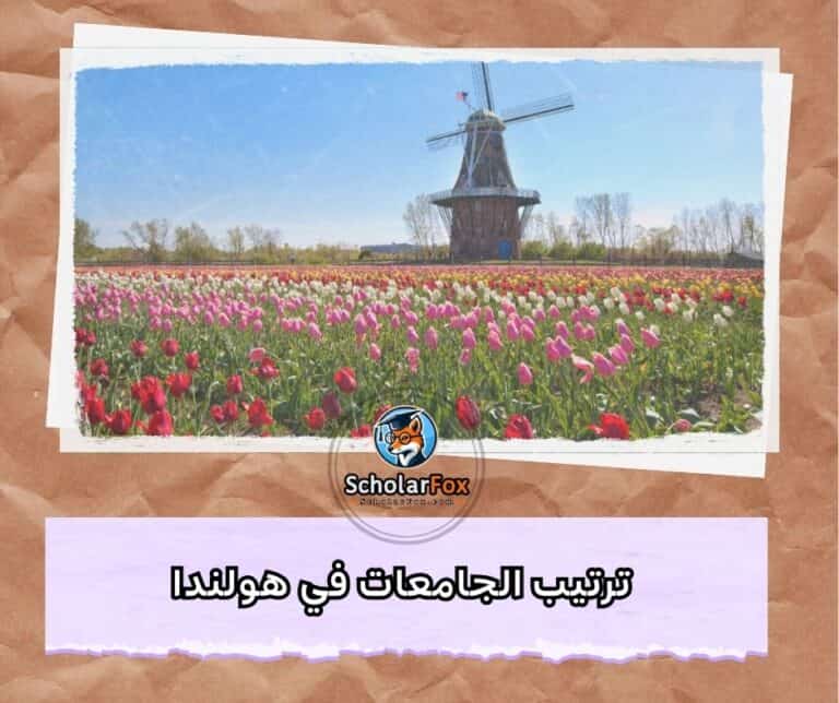 الجامعات في هولندا