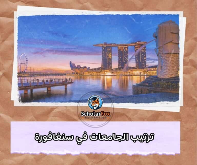 الجامعات في سنغافورة