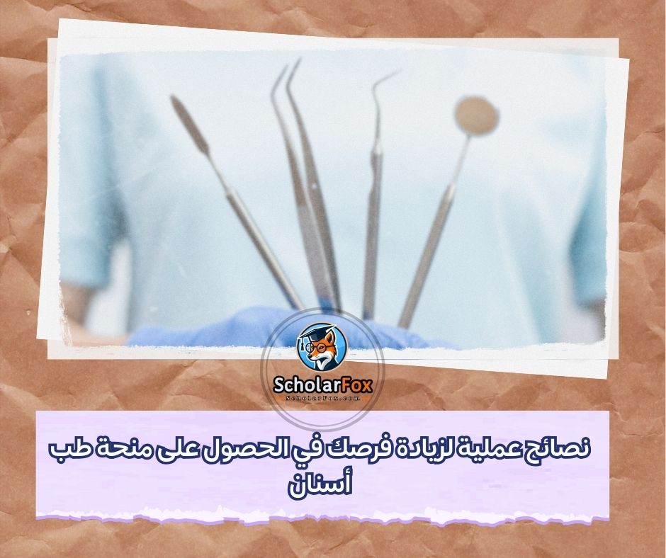 نصائح عملية لزيادة فرصك في الحصول على منحة طب أسنان