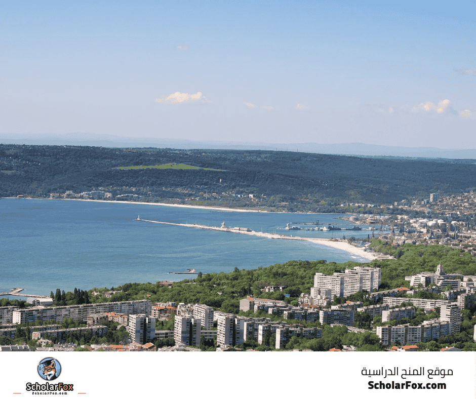 جامعة فارنا للإدارة