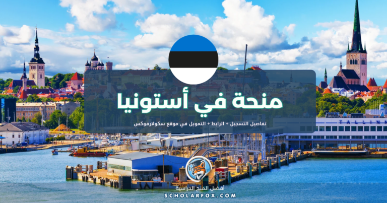 scholarfox.com Template منحة جامعة تالين التقنية