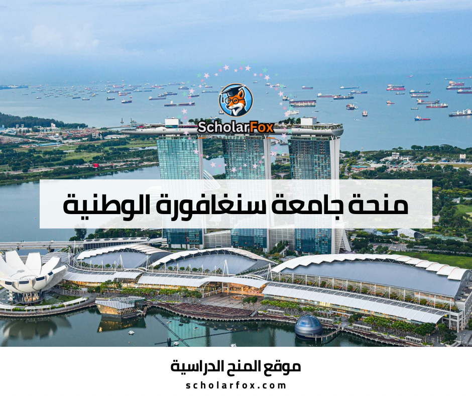 منحة جامعة سنغافورة الوطنية