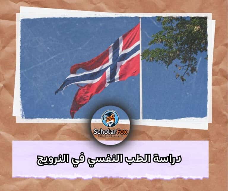 دراسة الطب النفسي في النرويج