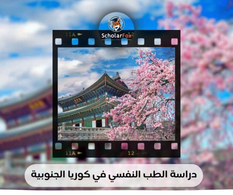 دراسة الطب النفسي في كوريا الجنوبية