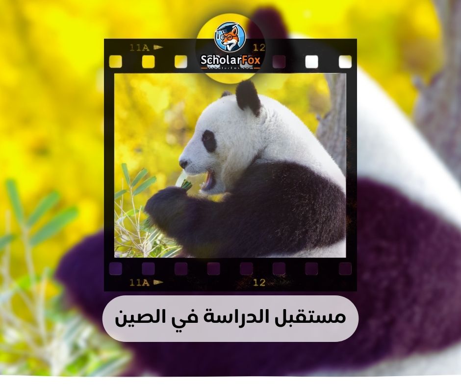 مستقبل الدراسة في الصين