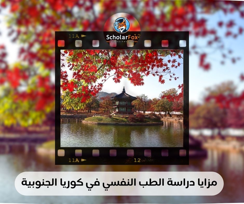 مزايا دراسة الطب النفسي في كوريا الجنوبية