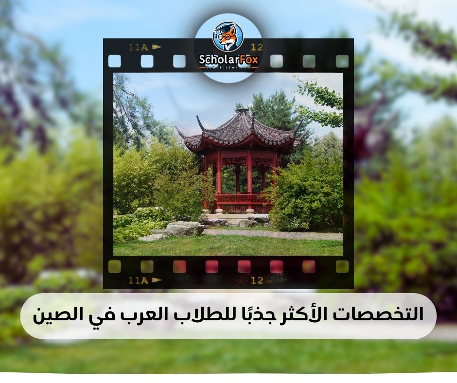 التخصصات الأكثر جذبًا للطلاب العرب في الصين
