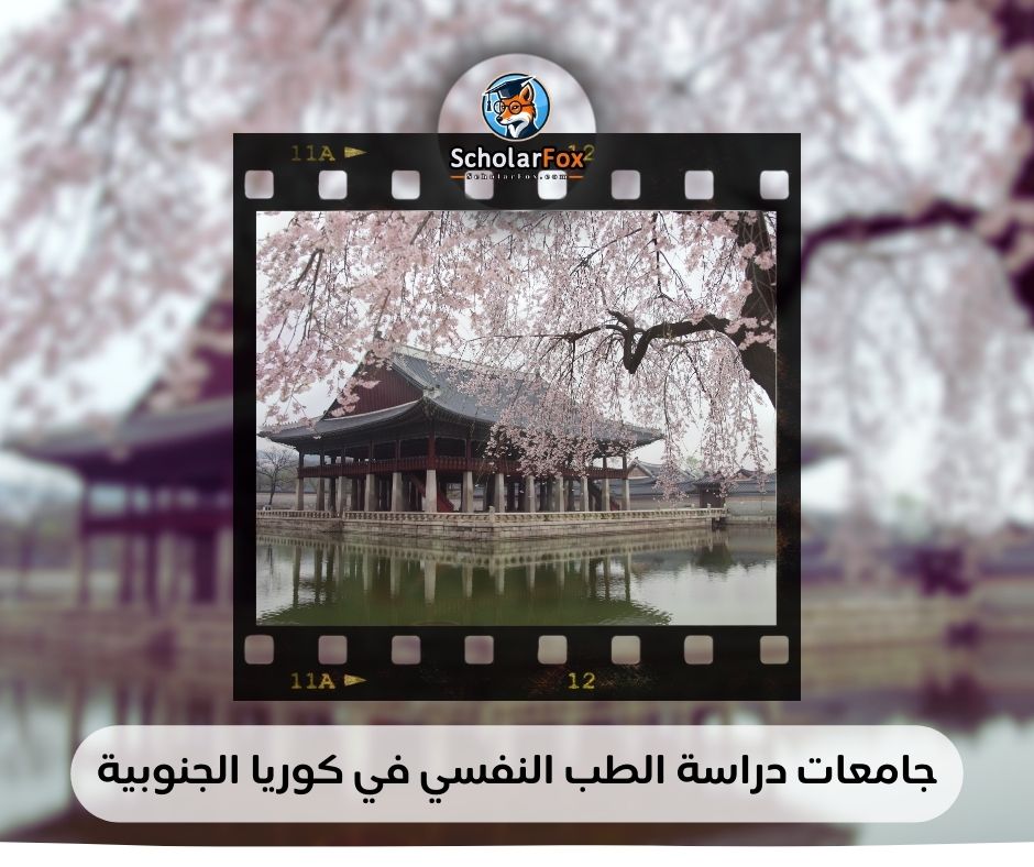 جامعات دراسة الطب النفسي في كوريا الجنوبية