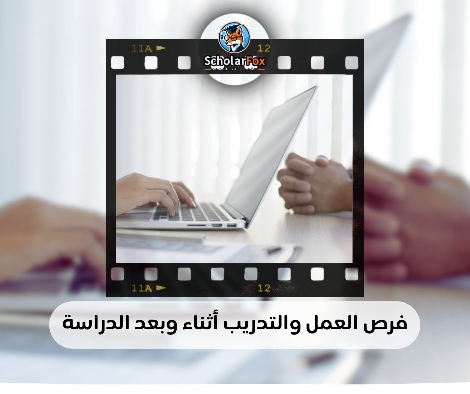 فرص العمل والتدريب أثناء وبعد الدراسة