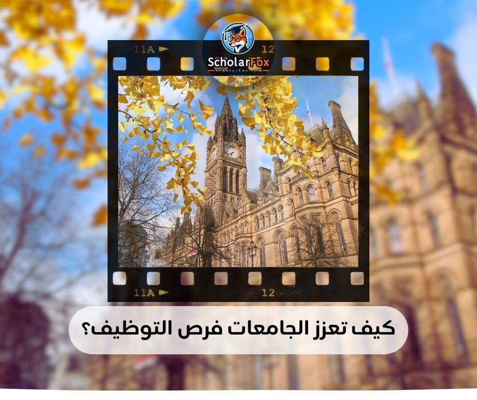 كيف تعزز الجامعات فرص التوظيف؟