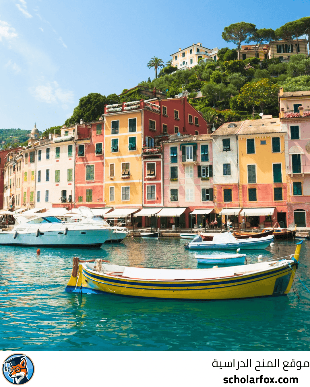 جامعة سيينا