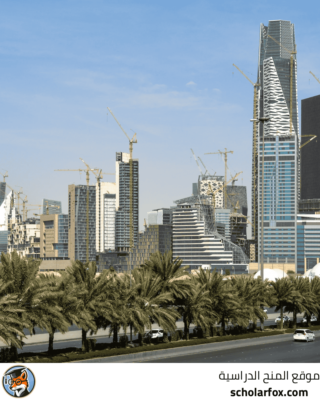 جامعة سليمان الراجحي