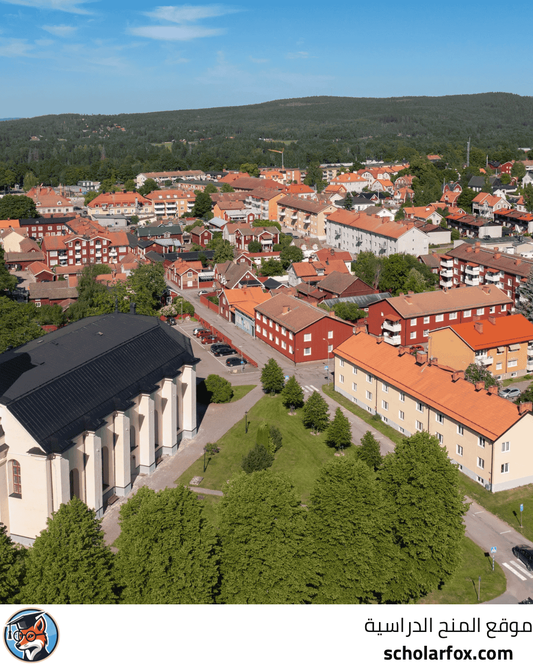 جامعة دالارنا