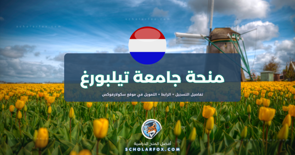 scholarfox.com Template 6 منحة جامعة تيلبورغ المجانية