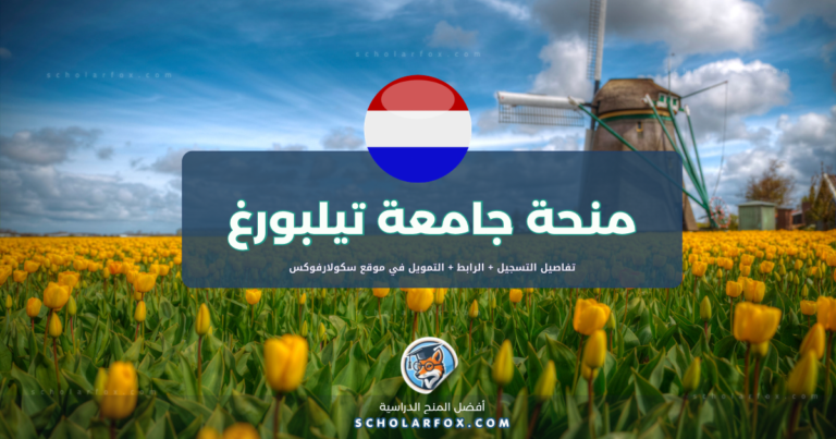 scholarfox.com Template 6 منحة جامعة تيلبورغ المجانية