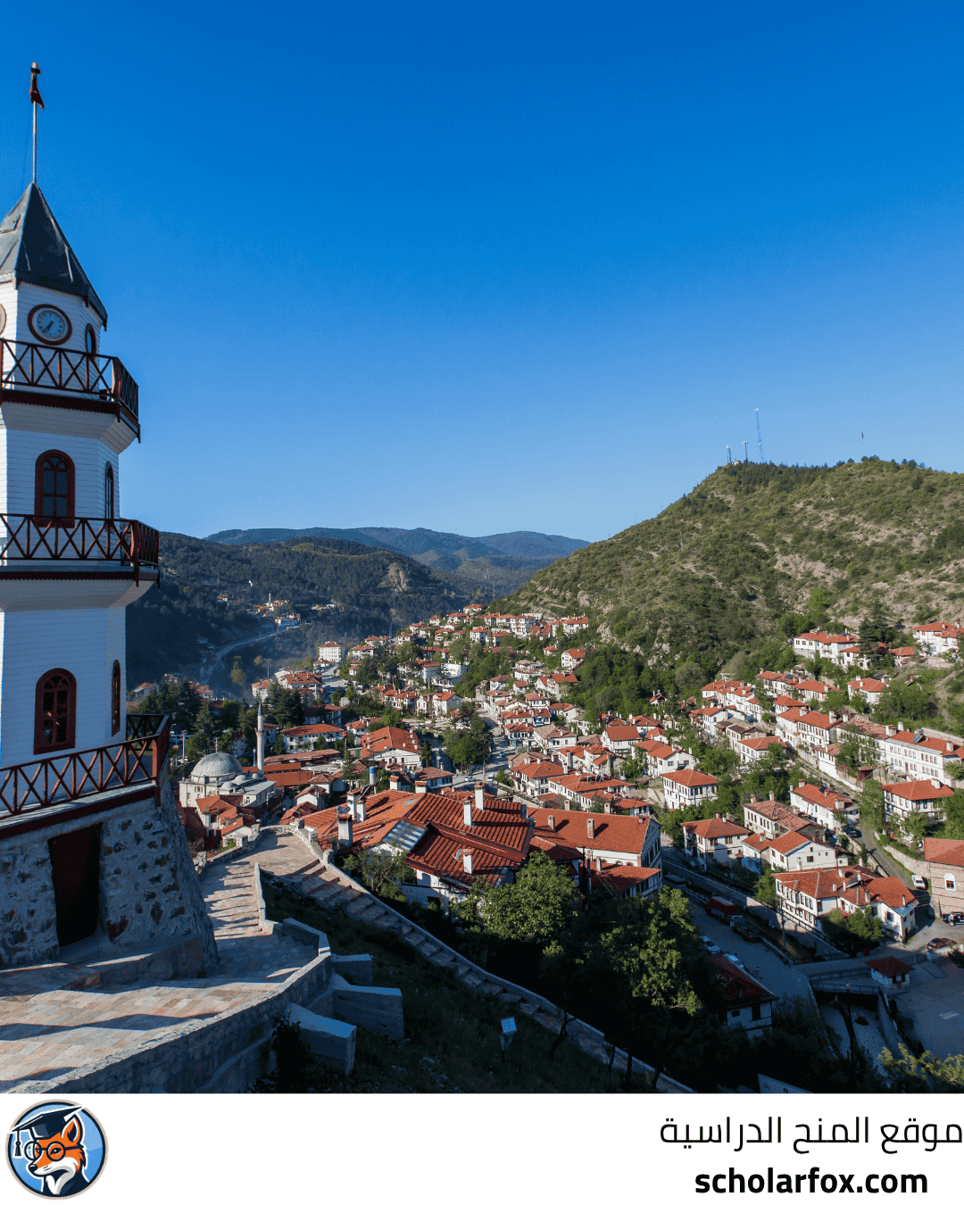 جامعة أوزيجين