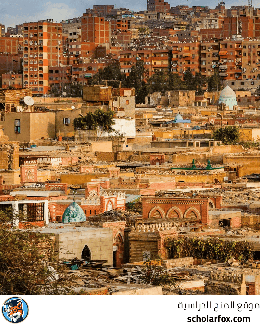 الجامعة اليابانية المصرية