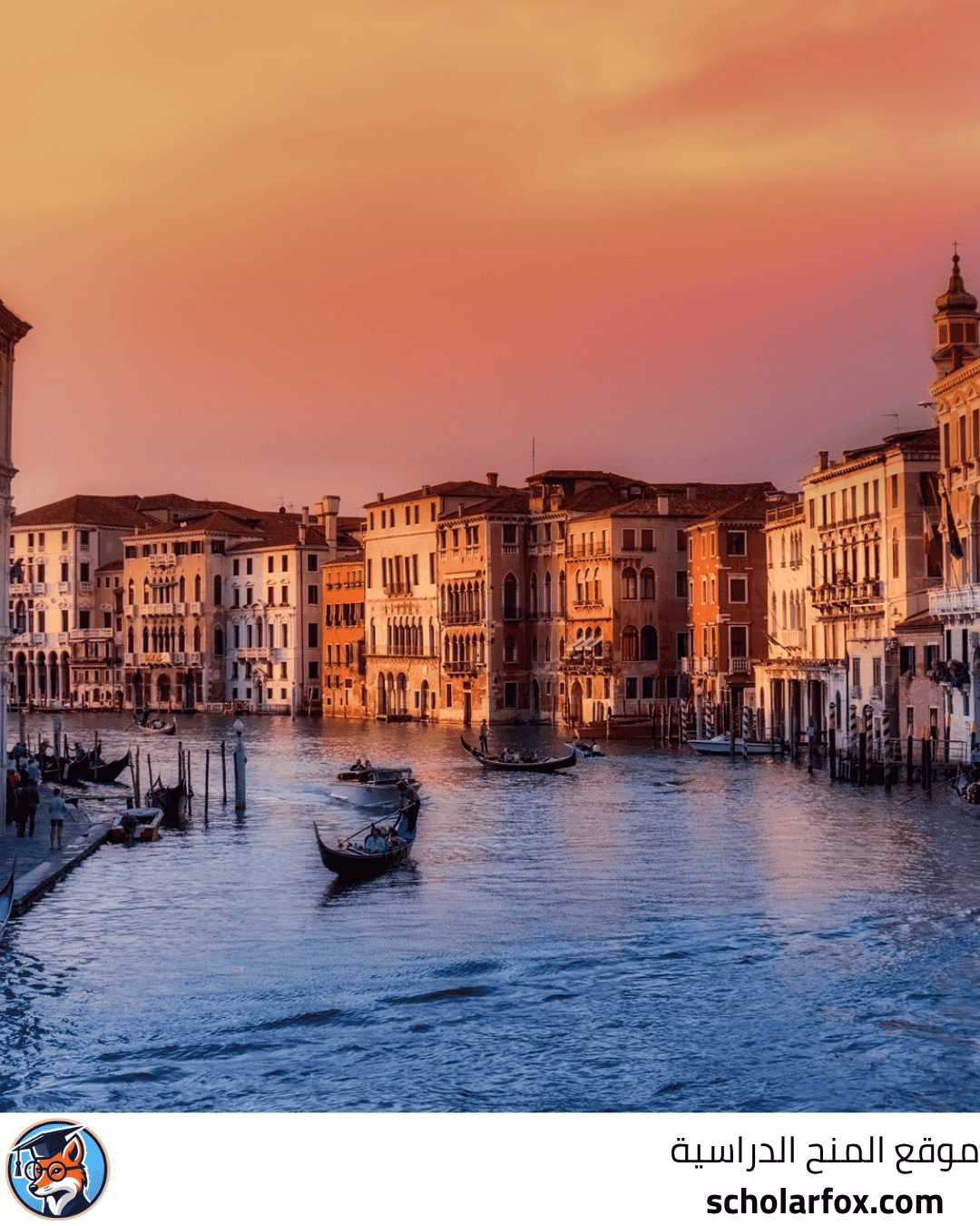 جامعة فيرونا