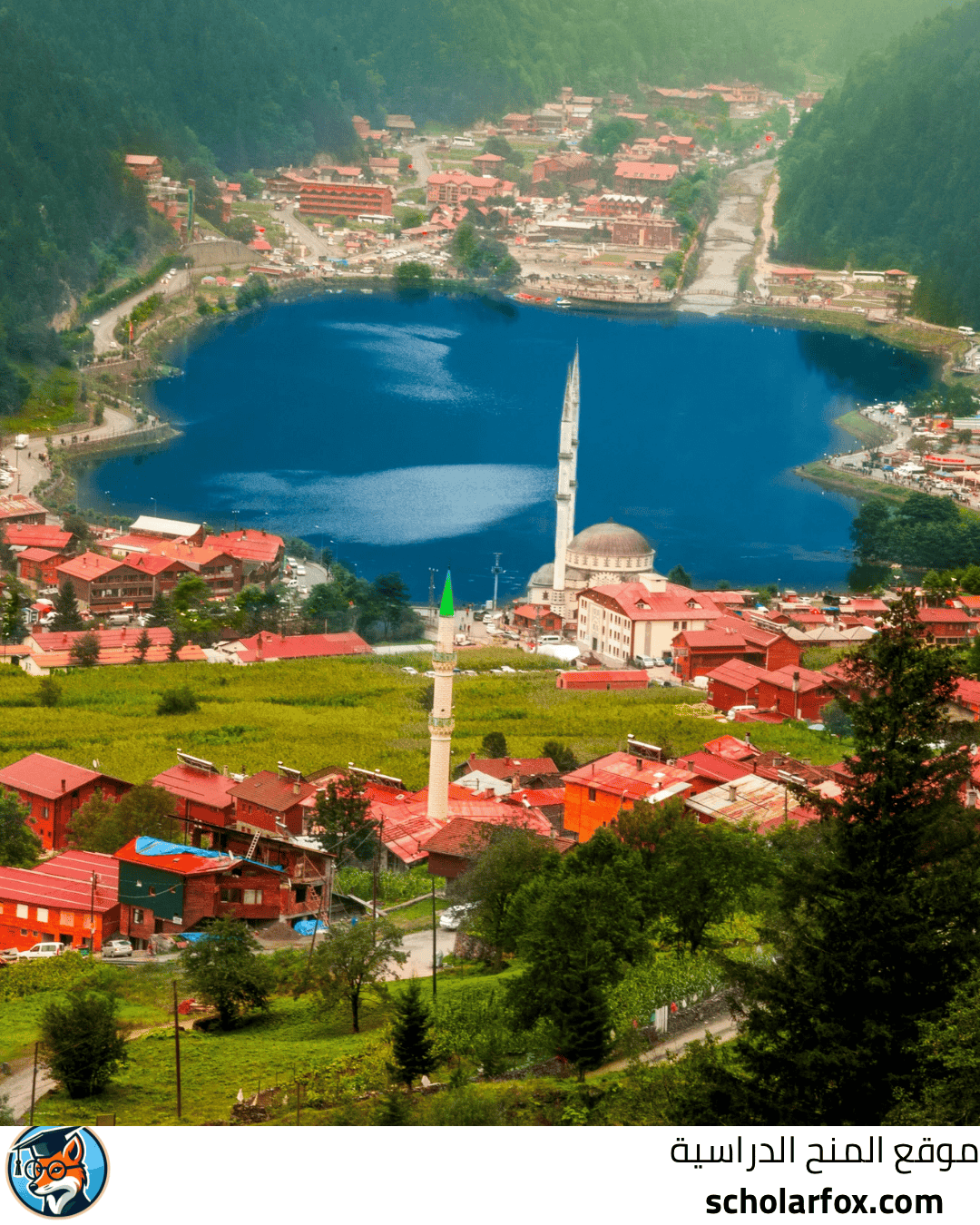 جامعة طرابزون