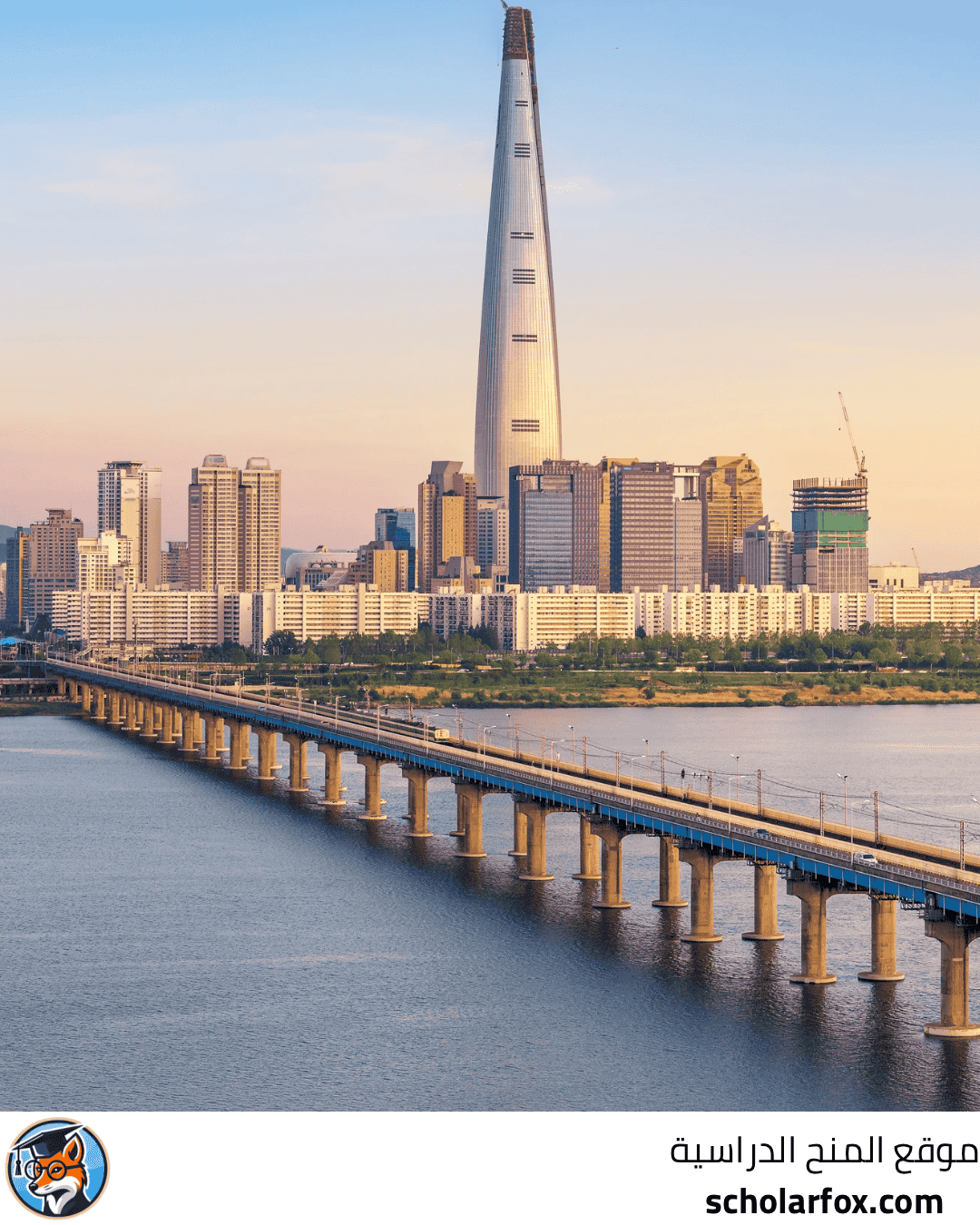 جامعة سيول الوطنية للتربية