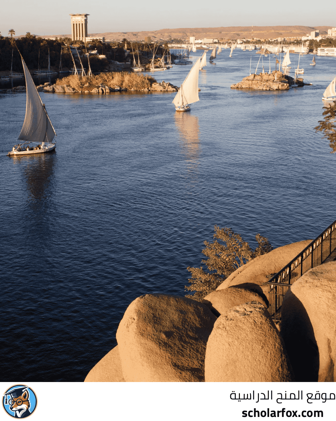 جامعة زويل للعلوم والتكنولوجيا