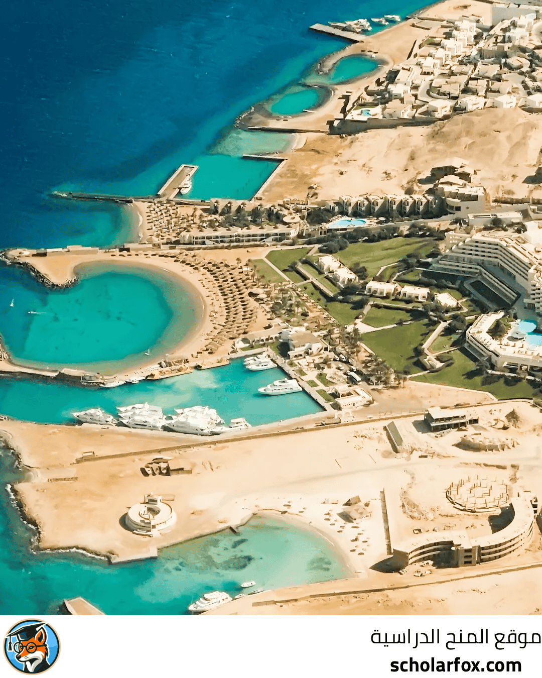 الجامعة البريطانية في مصر