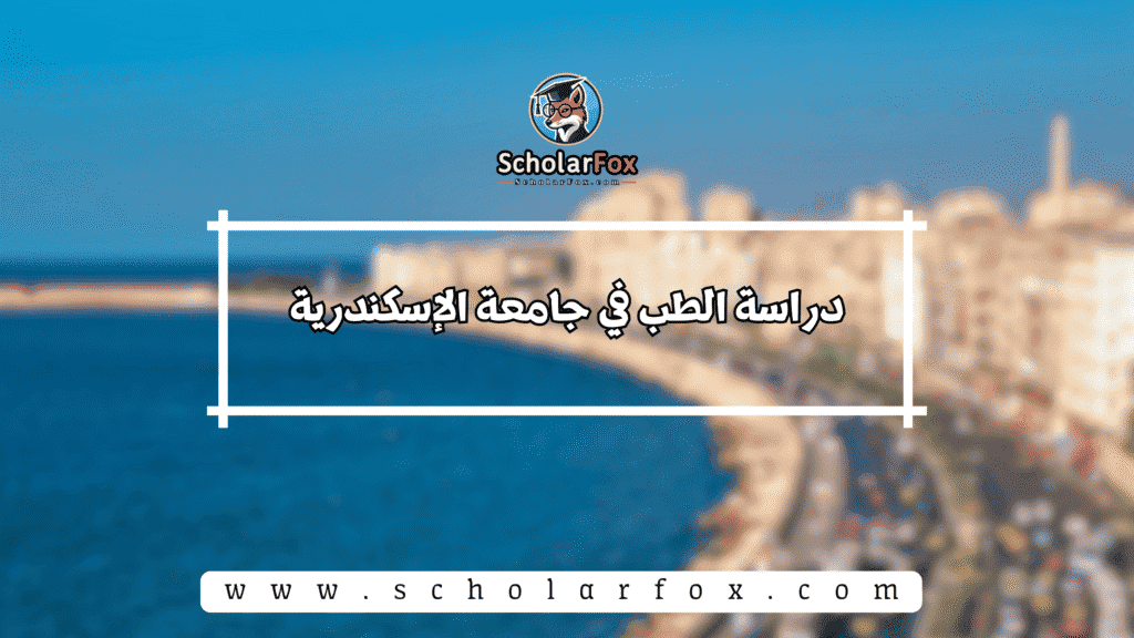 دراسة الطب في جامعة الإسكندرية