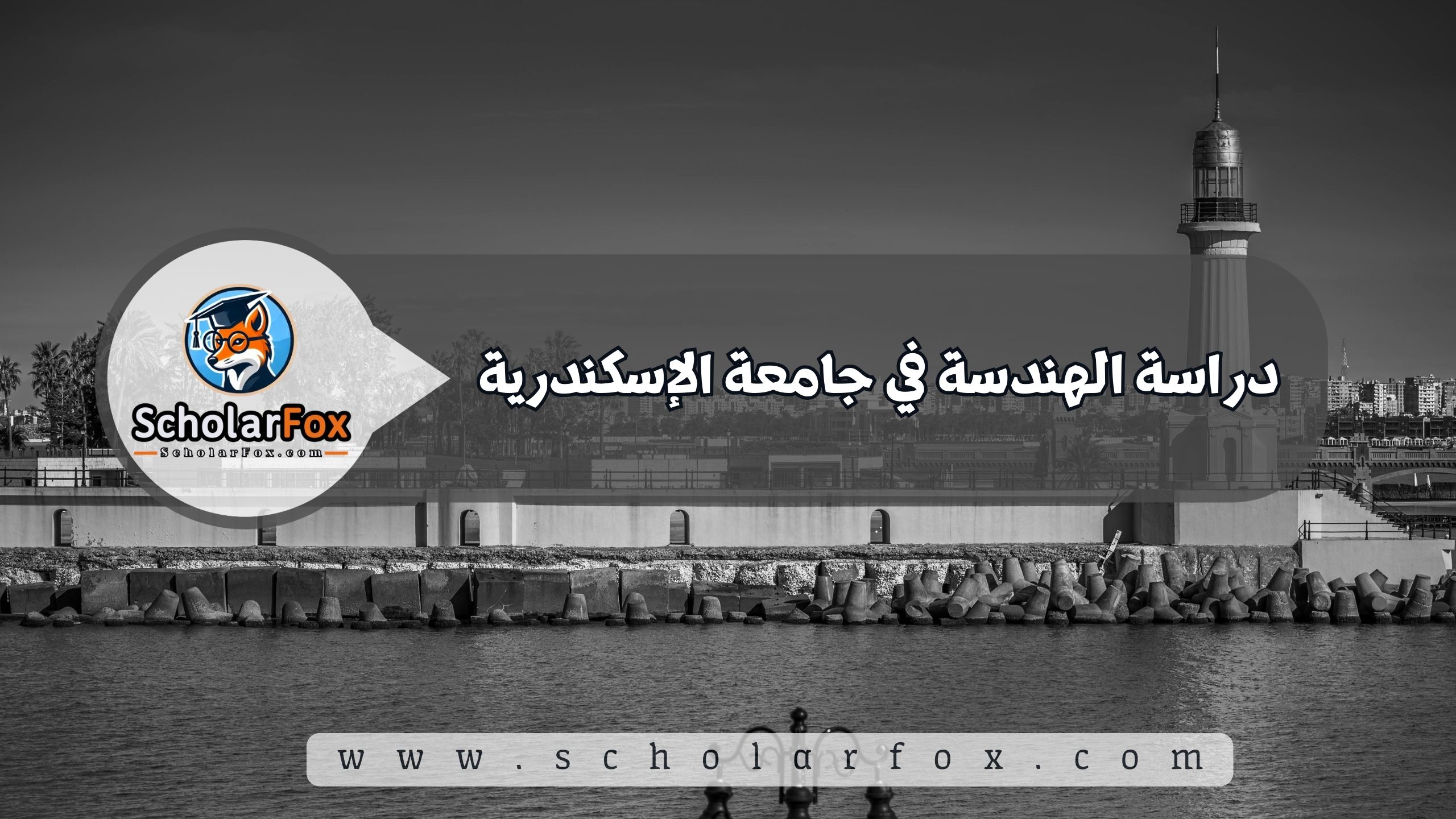 1 16 دراسة الهندسة في جامعة الإسكندرية