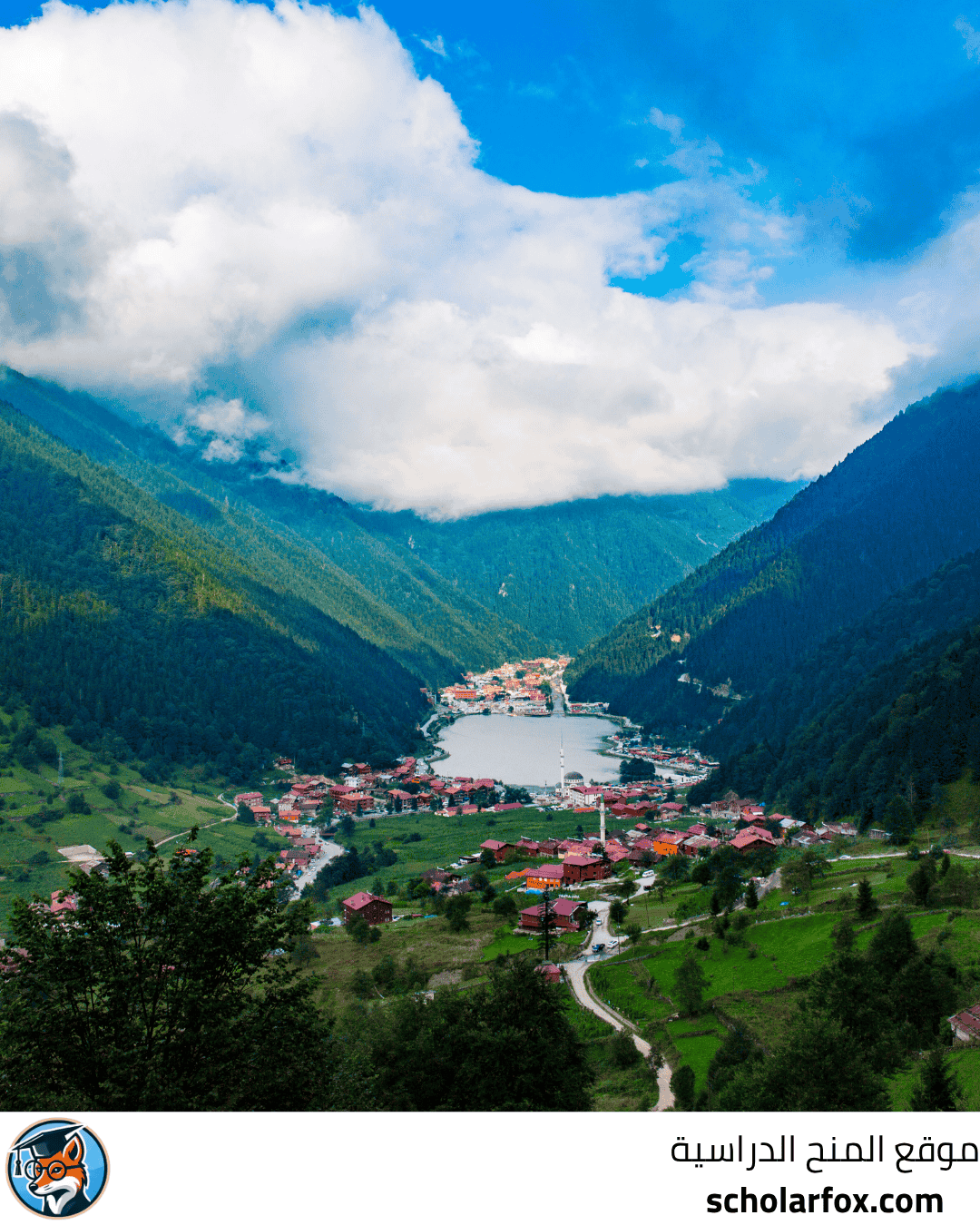 جامعة كارادينيز التقنية