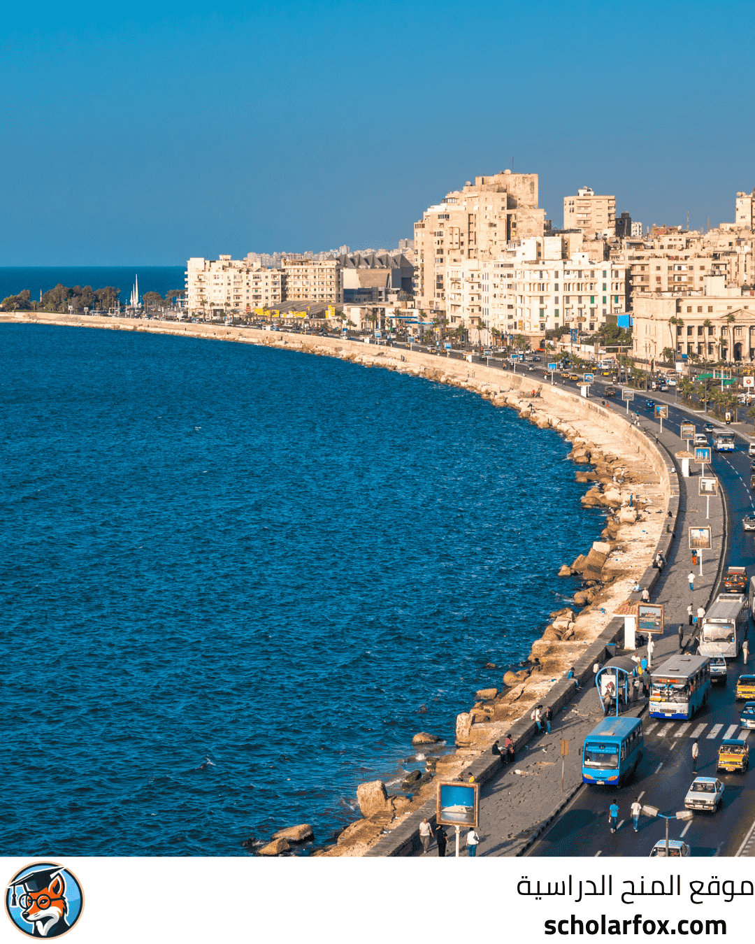 جامعة الإسكندرية