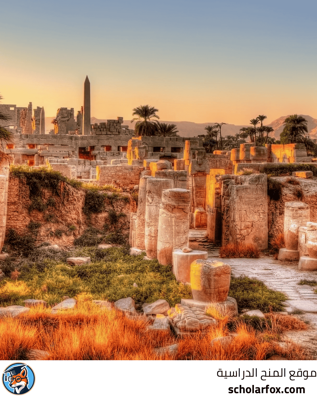 جامعة أسيوط