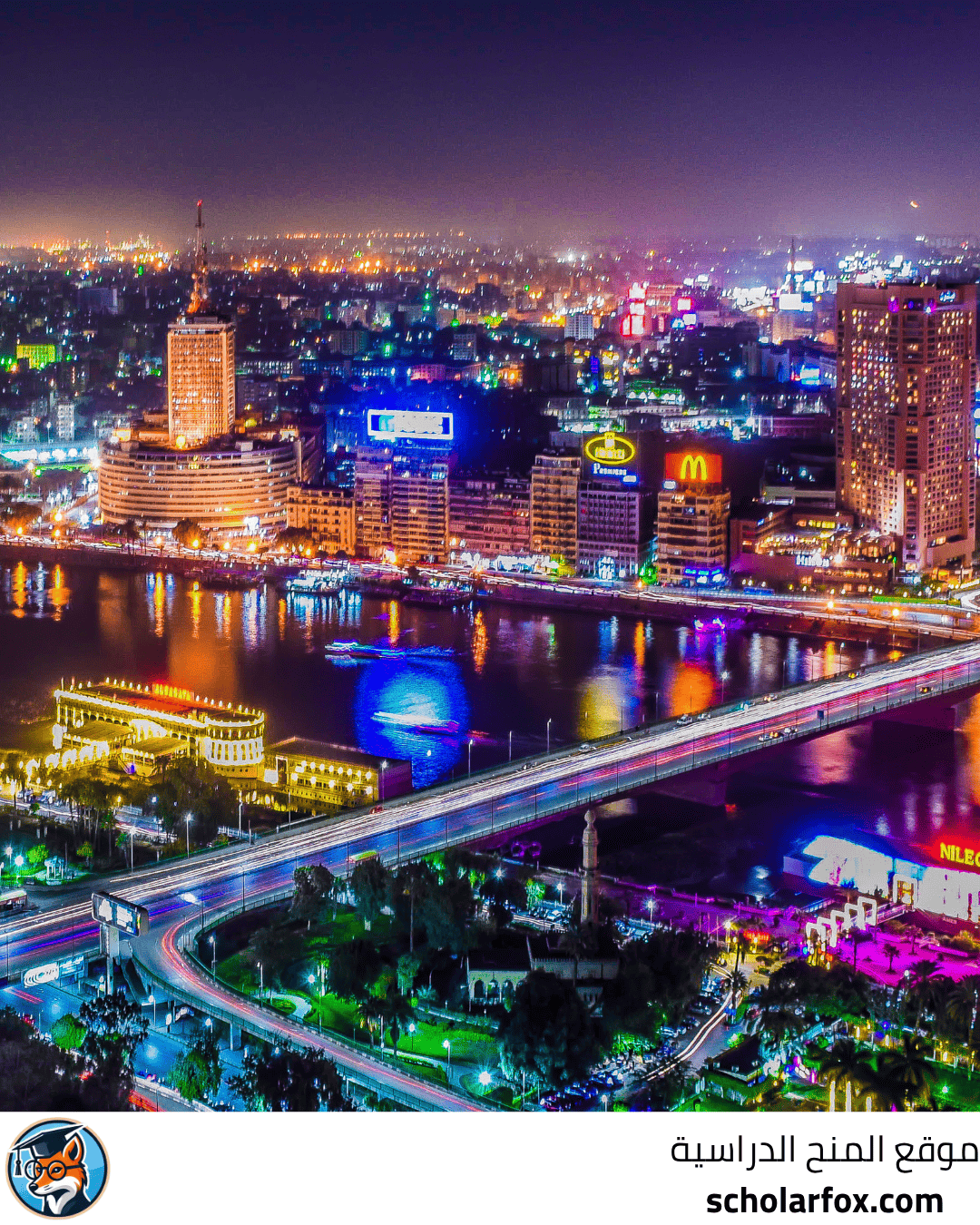 جامعة المنيا