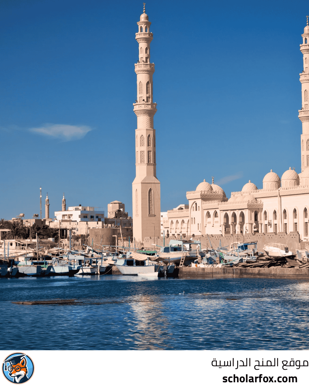 جامعة المنصورة