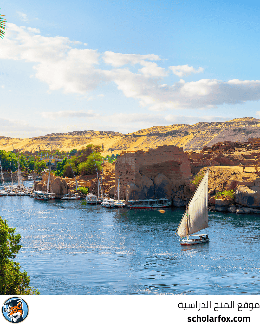 جامعة مصر الدولية