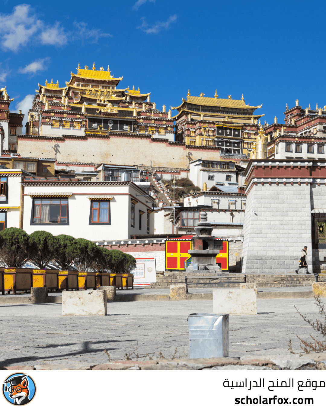 جامعة التبت