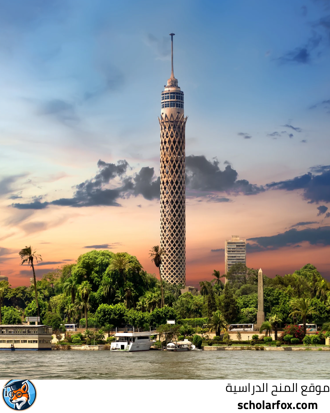 الجامعة الفرنسية في مصر