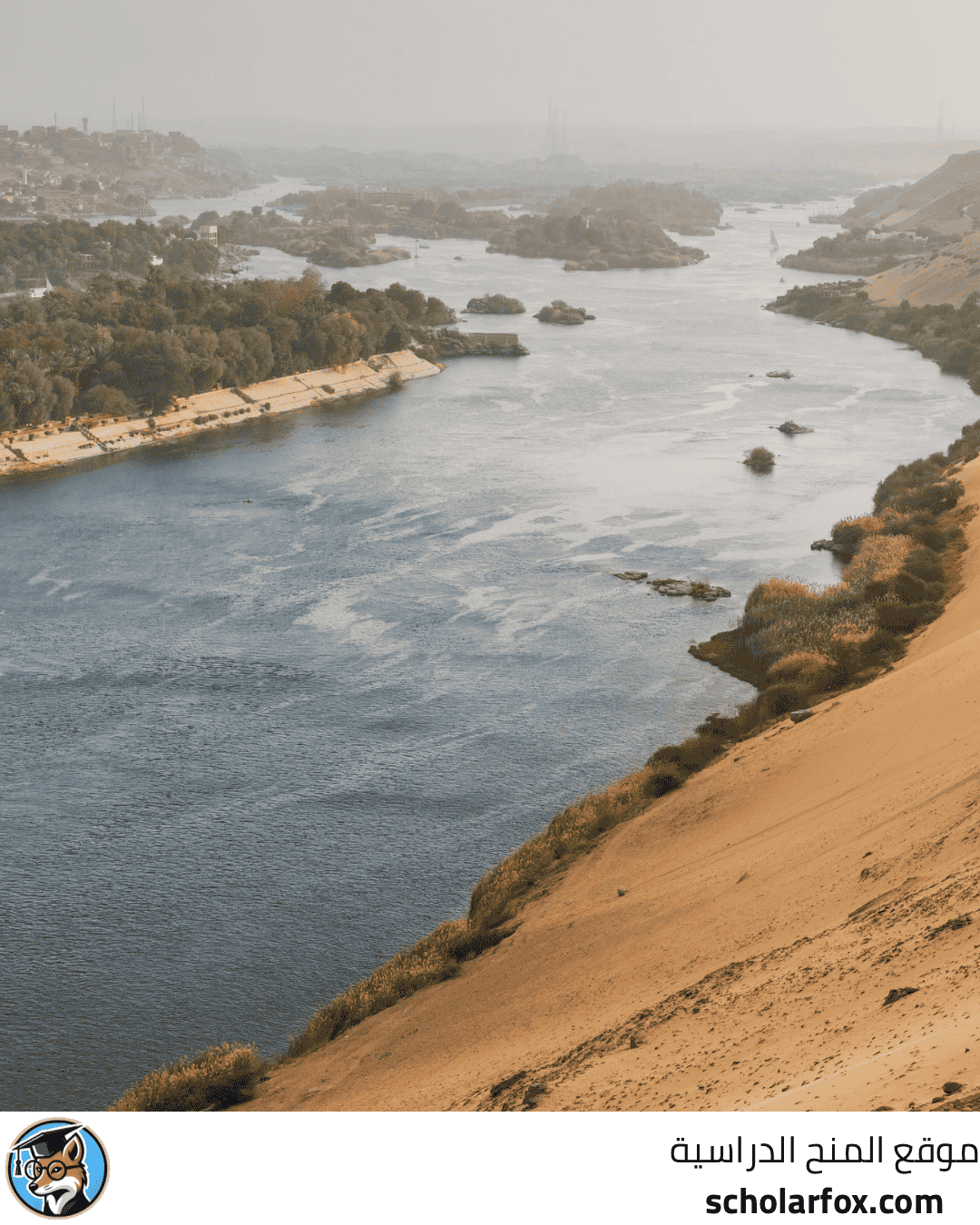 جامعة الأزهر