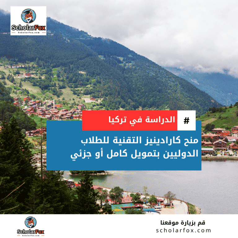 منحة جامعة كارادينيز التقنية