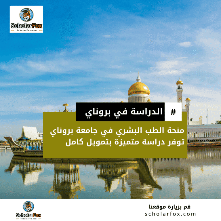 منحة الطب البشري في جامعة بروناي
