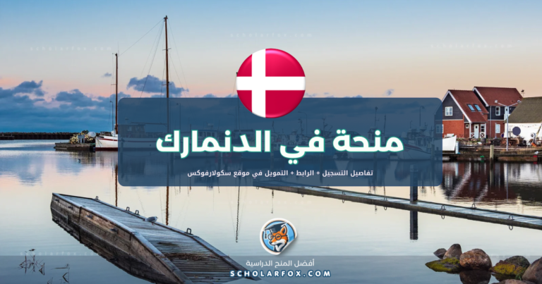 scholarfox.com Template 2 منحة جامعة جنوب الدنمارك ممولة