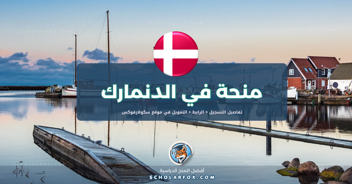 scholarfox.com Template 2 منحة جامعة جنوب الدنمارك ممولة