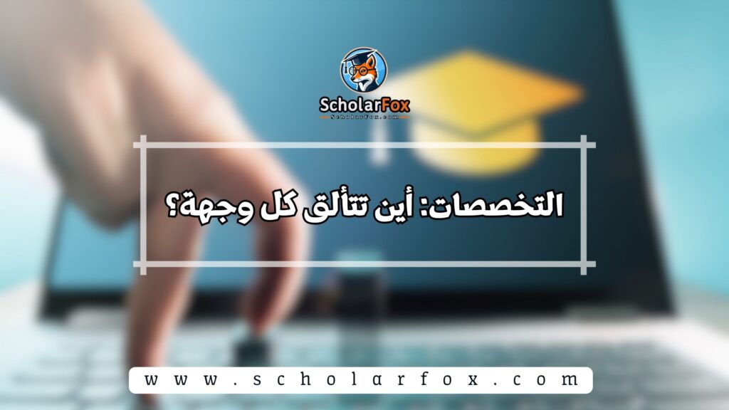 التخصصات: أين تتألق كل وجهة؟