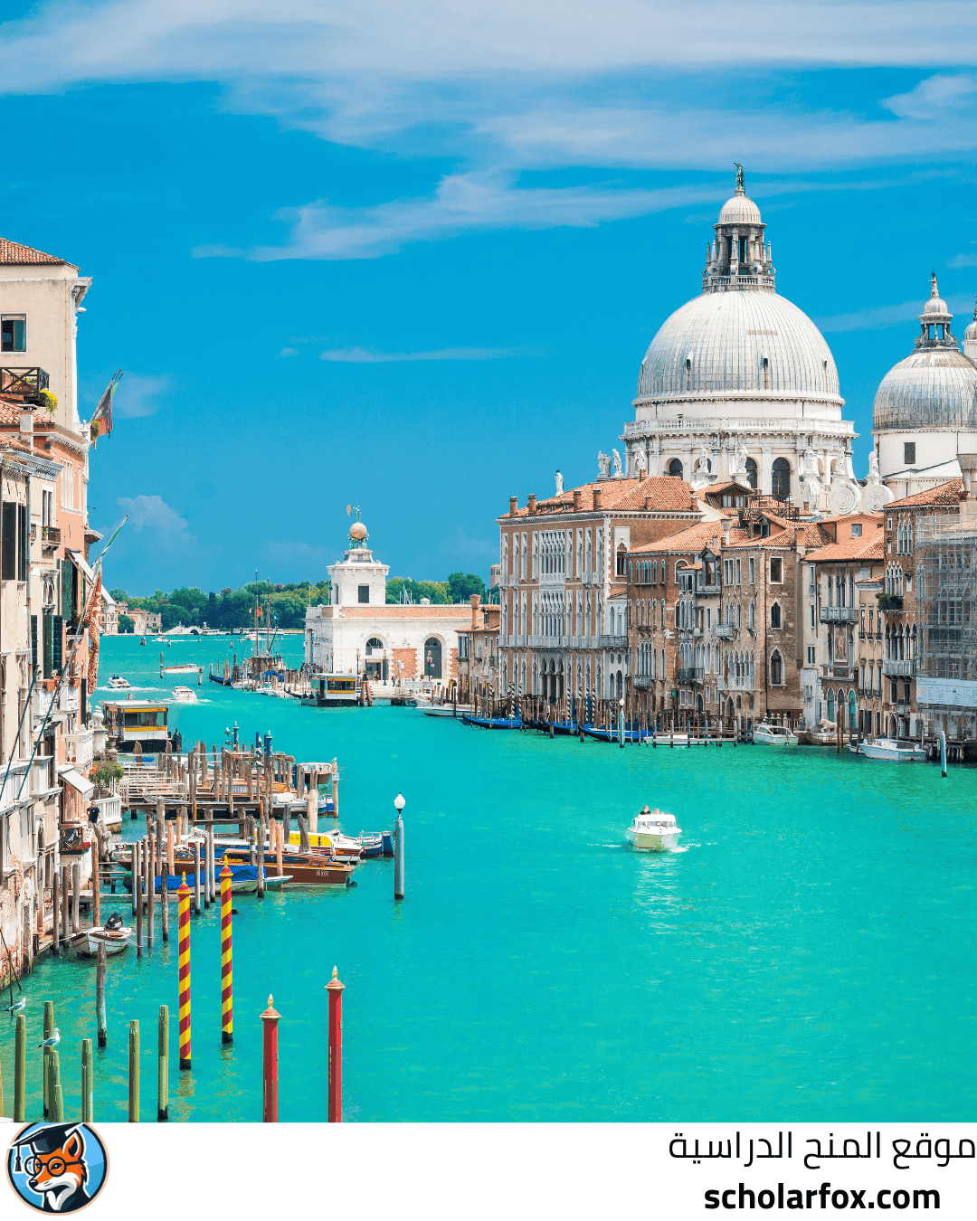 جامعة كاسينو