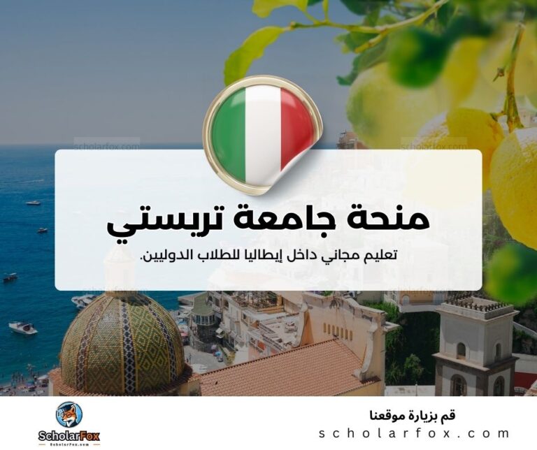 منحة جامعة تريستي