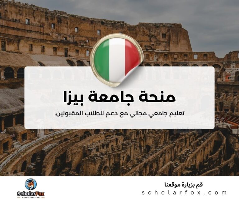 منحة جامعة بيزا