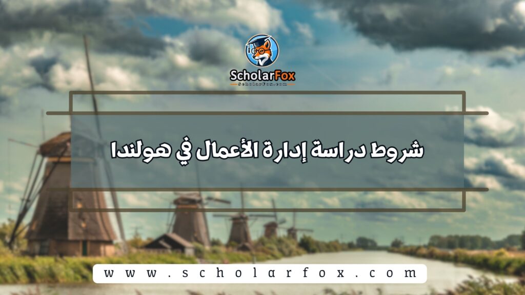 شروط دراسة إدارة الأعمال في هولندا
