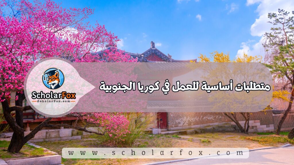 متطلبات أساسية للعمل في كوريا الجنوبية