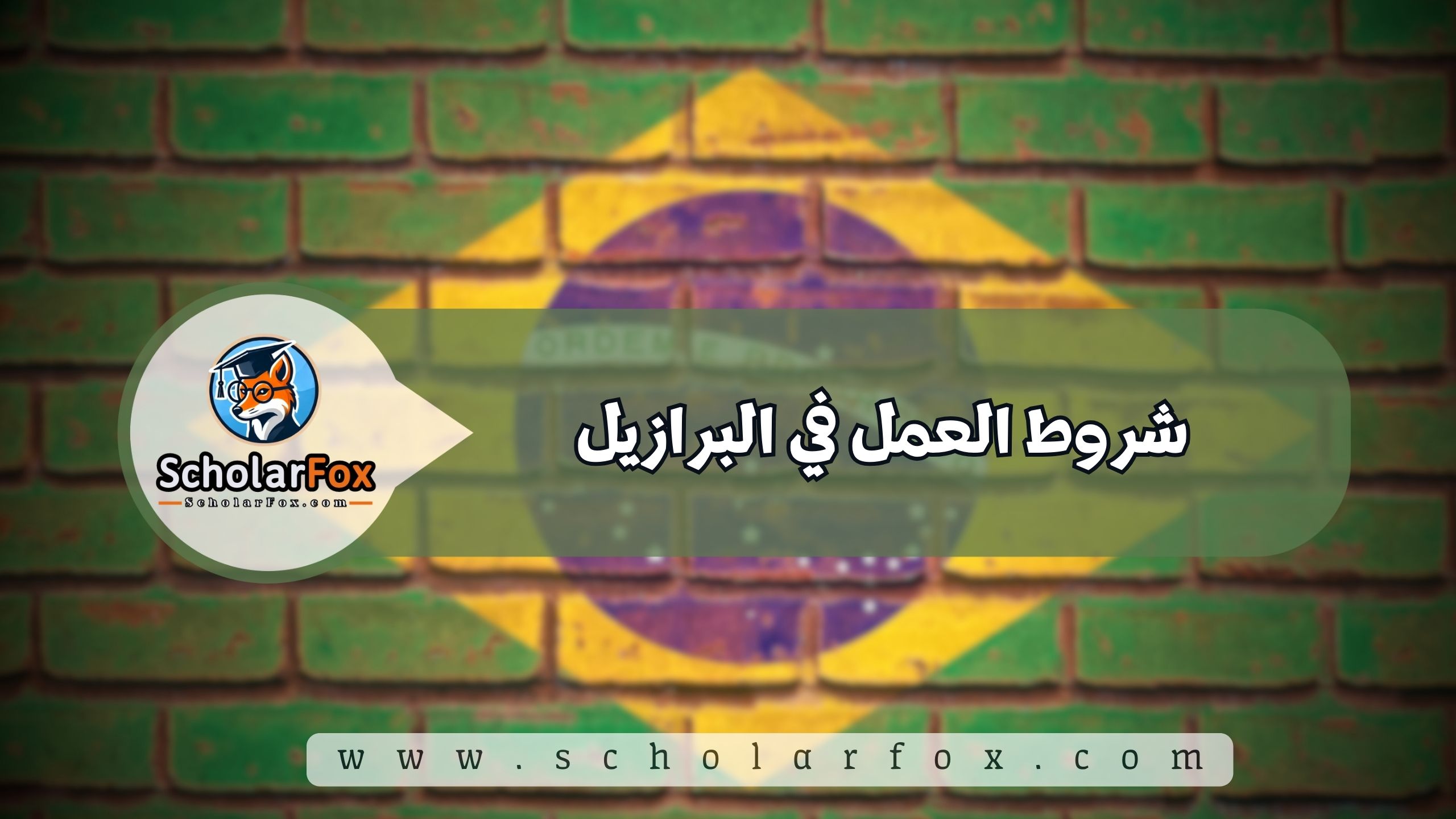 1 73 شروط العمل في البرازيل