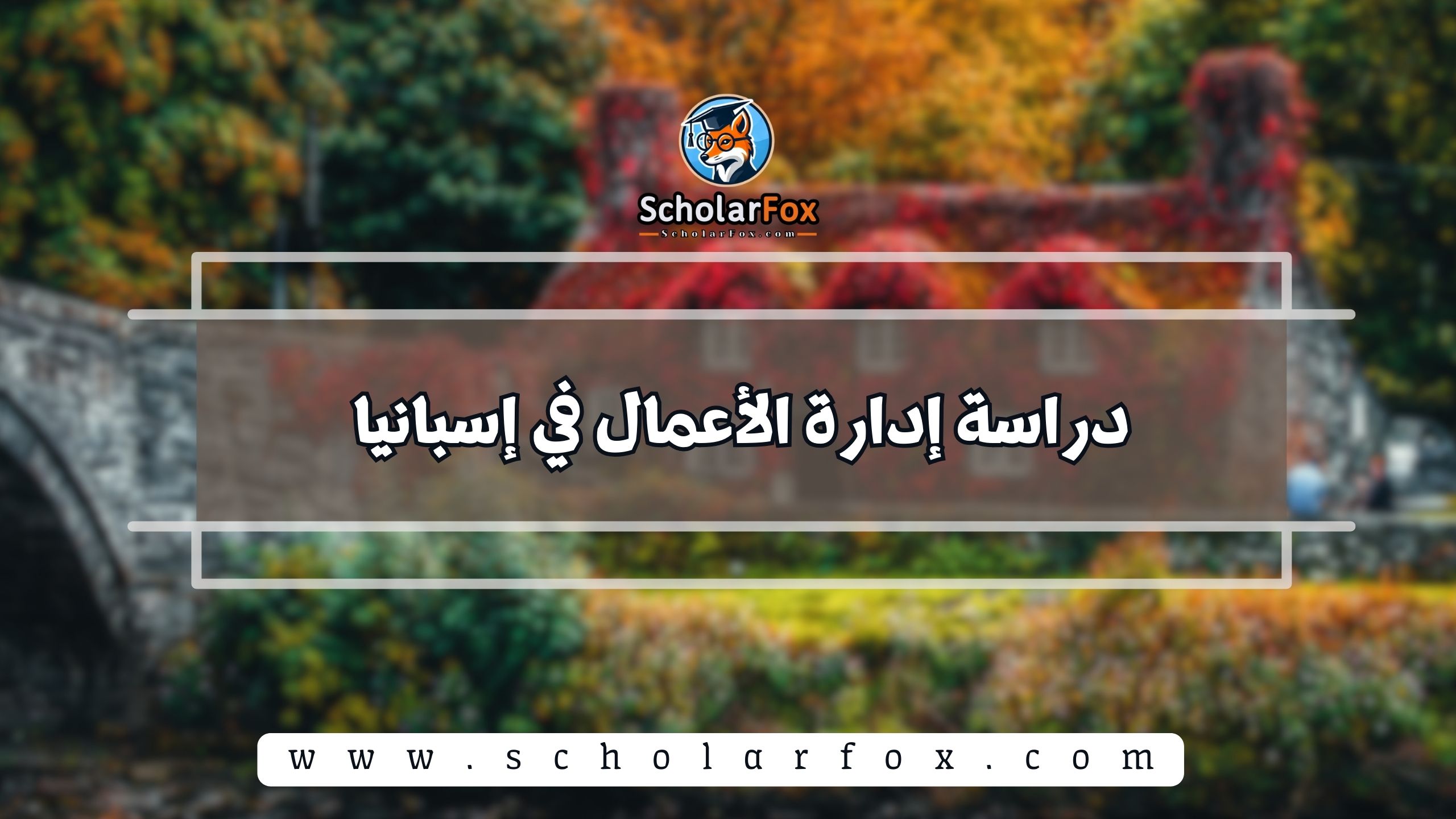 1 9 دراسة إدارة الأعمال في إيرلندا