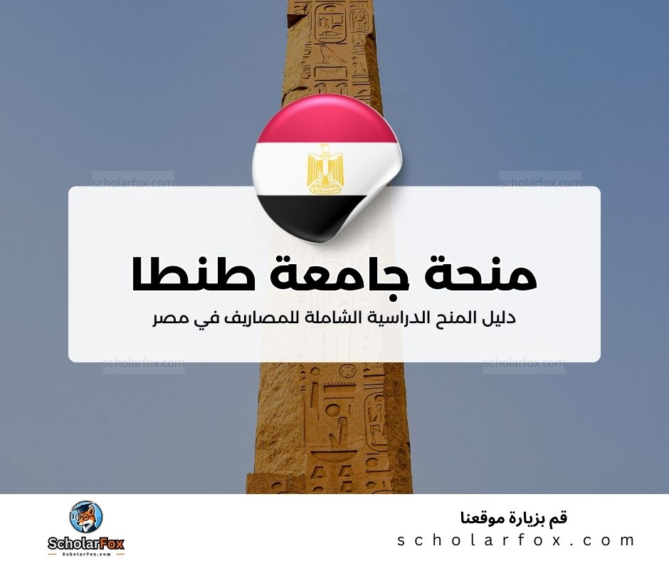 19 منحة جامعة طنطا